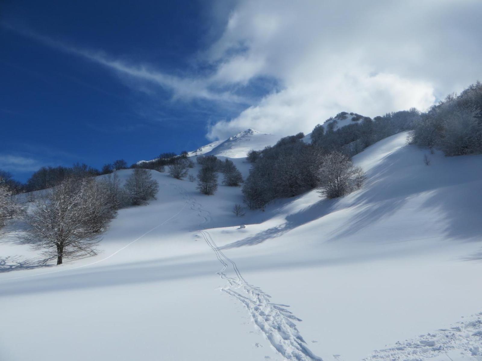B&B Vivilmatese Roccamandolfi 외부 사진