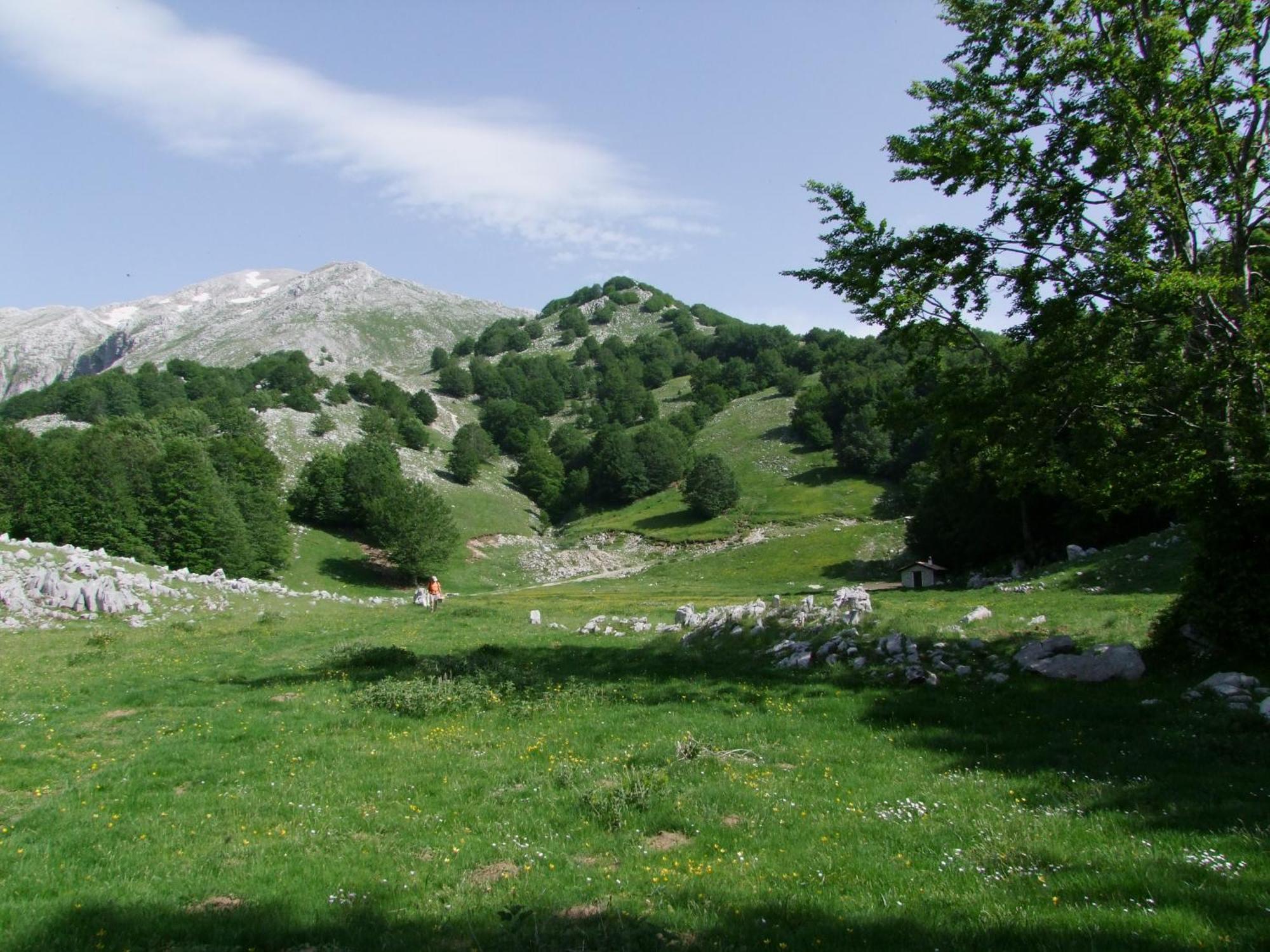 B&B Vivilmatese Roccamandolfi 외부 사진